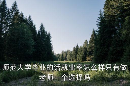 廣州大學(xué)師范類就業(yè)率高嗎，廣州大學(xué)在廣州就業(yè)率高嗎哪些專業(yè)叫好