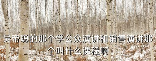 吳帝聰?shù)哪莻€(gè)學(xué)公眾演講和銷售演講那個(gè)叫什么課程啊