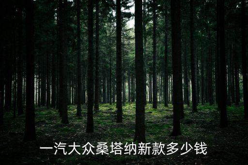 廣州一汽大眾桑塔納多少錢，大眾桑塔納最低多少錢 14L報價 價格給力