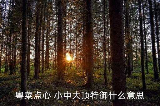 粵菜點(diǎn)心 小中大頂特御什么意思