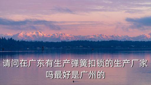 請(qǐng)問在廣東有生產(chǎn)彈簧扣鎖的生產(chǎn)廠家嗎最好是廣州的