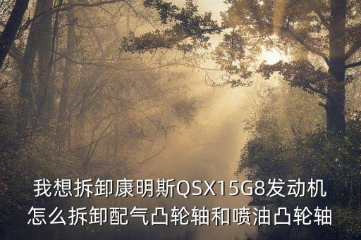 我想拆卸康明斯QSX15G8發動機怎么拆卸配氣凸輪軸和噴油凸輪軸