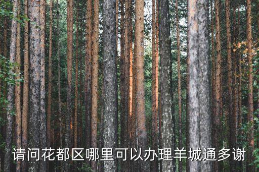 請(qǐng)問花都區(qū)哪里可以辦理羊城通多謝