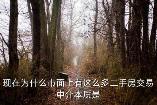 廣州新市墟房屋中介怎么那么多，廣州白云區新市墟哪里有租房子