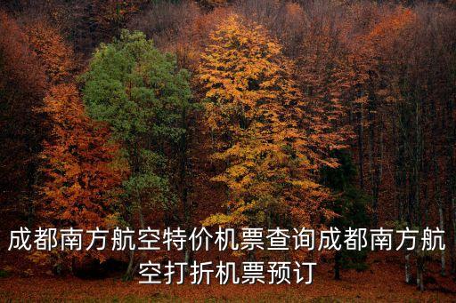 成都南方航空特價機票查詢成都南方航空打折機票預訂