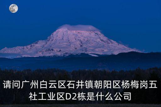 請問廣州白云區石井鎮朝陽區楊梅崗五社工業區D2棟是什么公司