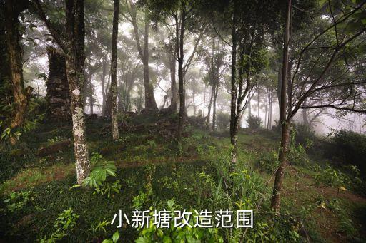 小新塘改造范圍
