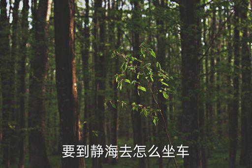 廣州到靜海坐什么公交車，市區到靜海東雙塘工業區104國道155公里處 坐車怎么去
