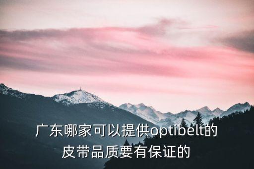 廣東哪家可以提供optibelt的皮帶品質要有保證的