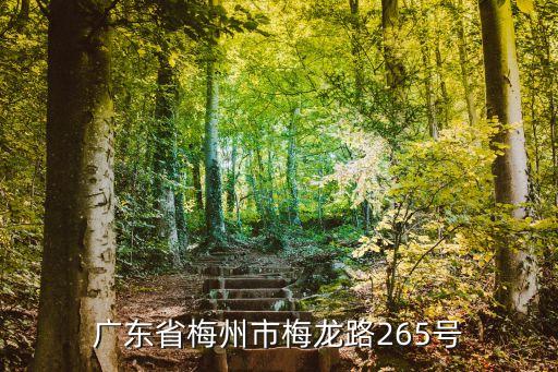 廣東省梅州市梅龍路265號