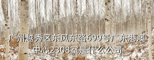 廣州越秀區東風東路699號廣東港澳中心2308室是什么公司