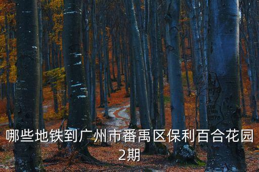 哪些地鐵到廣州市番禹區保利百合花園2期