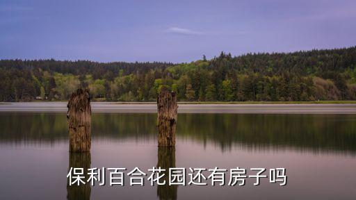 廣州保利百合花園區(qū)，保利百合花園怎么樣好不好的默認(rèn)點(diǎn)評(píng)