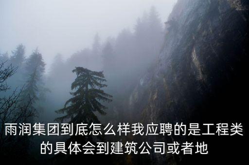雨潤集團(tuán)到底怎么樣我應(yīng)聘的是工程類的具體會(huì)到建筑公司或者地
