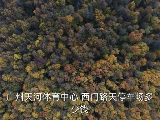 廣州天河體育中心附近停車，廣州天河體育中心 周邊 哪里停車便宜