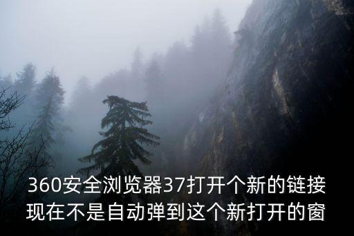 360安全瀏覽器37打開個新的鏈接現(xiàn)在不是自動彈到這個新打開的窗