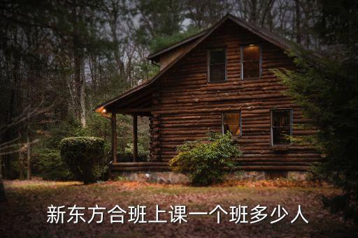 廣州新東方英語行遠班有多少人，新東方四級走讀班一般多少人