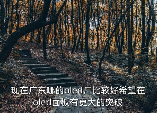 oled廣州廠，現在廣東哪的oled廠比較好希望在oled面板有更大的突破