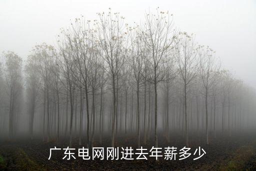 廣東電網剛進去年薪多少