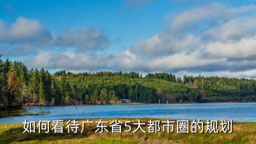 如何看待廣東省5大都市圈的規劃