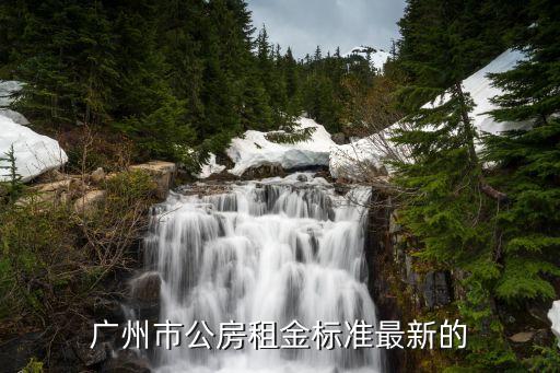 廣州沙面租金標準，廣州市公房租金標準最新的