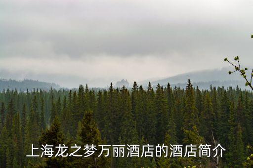 上海市中山公園龍之夢萬麗酒店，上海中山公園龍之夢酒店離地鐵距離地址