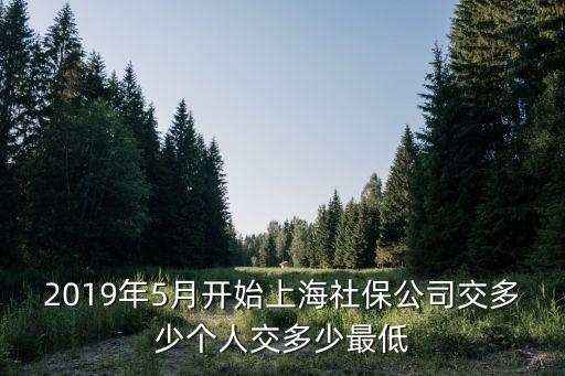 2019年5月開始上海社保公司交多少個(gè)人交多少最低