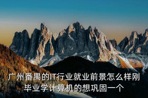 廣州番禺的IT行業就業前景怎么樣剛畢業學計算機的想鞏固一個