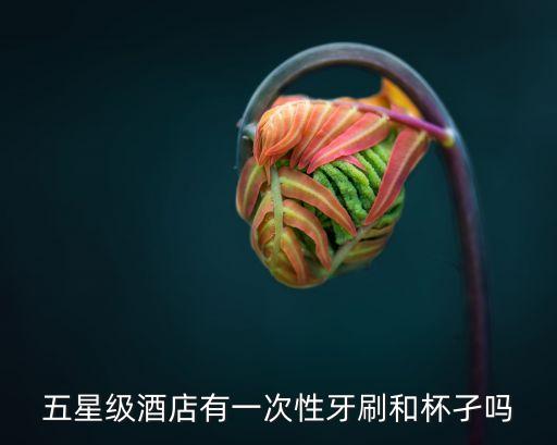 五星級酒店有一次性牙刷和杯孑嗎