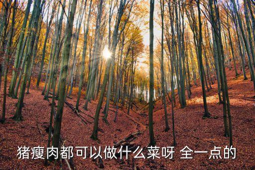 豬瘦肉都可以做什么菜呀 全一點的