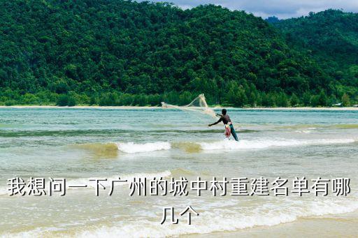 我想問一下廣州的城中村重建名單有哪幾個