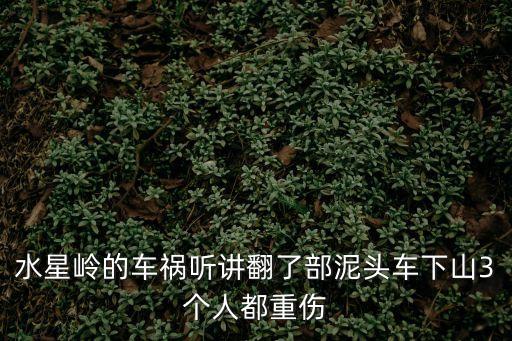 水星嶺的車禍聽講翻了部泥頭車下山3個人都重傷
