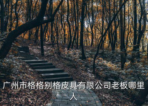 廣州市林雪歡，廣州市豐影影視廣告公司那個(gè)兇惡女人是誰