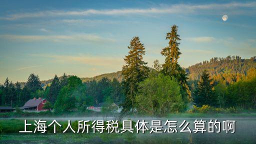 個人所得稅 上海市，上海個人所得稅怎么收的