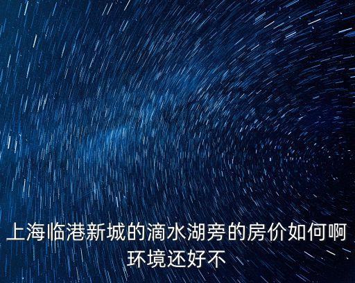 上海市臨港片區(qū)房價(jià)，臨港新城老蘆公路江山路樓盤現(xiàn)在新房房價(jià)是多少錢一個(gè)平方