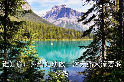 廣州婦幼兒童醫療醫院做人流，誰知道廣州省婦幼做一次無痛人流要多少錢