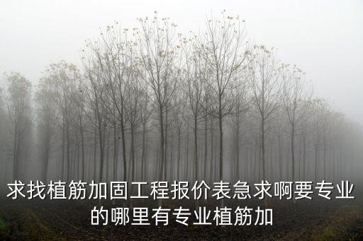 求找植筋加固工程報價表急求啊要專業的哪里有專業植筋加