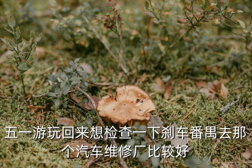 五一游玩回來想檢查一下剎車番禺去那個汽車維修廠比較好