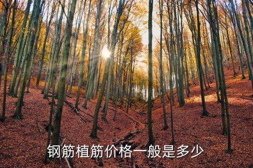 鋼筋植筋價格一般是多少