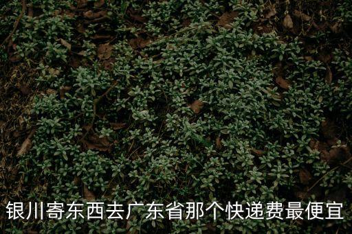 銀川寄東西去廣東省那個快遞費(fèi)最便宜