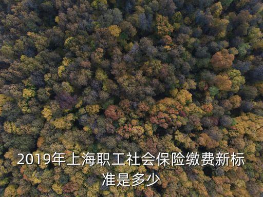 上海市2019年5月社保繳費(fèi)基數(shù)，2019年上海職工社會(huì)保險(xiǎn)繳費(fèi)新標(biāo)準(zhǔn)是多少