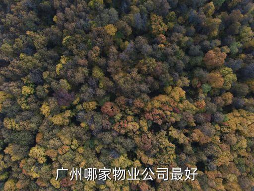 廣州恒越華鼎廣場物業，廣州有哪些物業管理公司