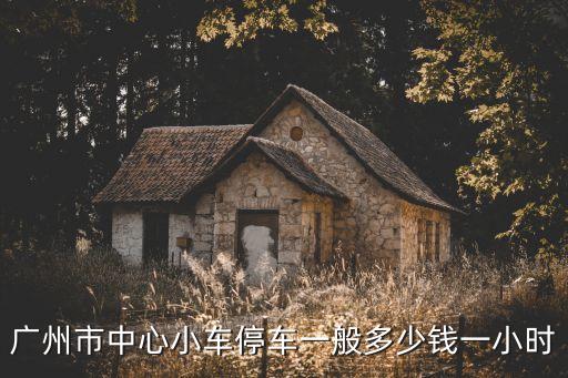 廣州市中心小車停車一般多少錢一小時