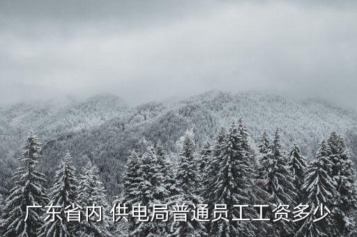 廣州電力局年終獎多少，廣東電網剛進去年薪多少