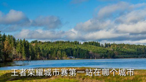 王者榮耀分站賽廣州，王者榮耀 王者城市賽第一站到達了哪個城市