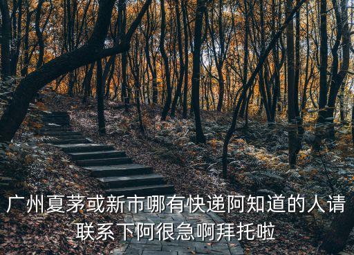 廣州白云夏茅村有物流嗎，順豐快遞廣州夏茅服務(wù)點在哪個位置