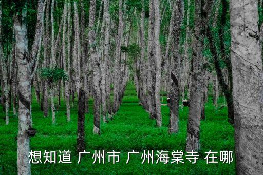 想知道 廣州市 廣州海棠寺 在哪