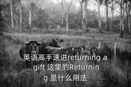 英語高手速進returning a gift 這里的Returning 是什么用法