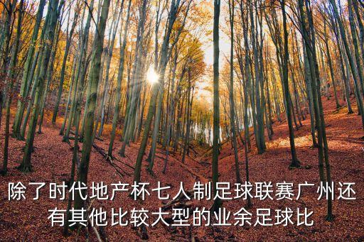 除了時代地產杯七人制足球聯賽廣州還有其他比較大型的業余足球比