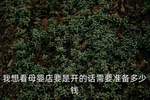 我想看母嬰店要是開的話需要準(zhǔn)備多少錢